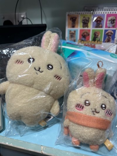 搶到平嘅稀有兔兔同埋栗子娃衣，全部都全新有牌，平安到達我手上。宜家應該無咁多好價野可以比我購買了！！