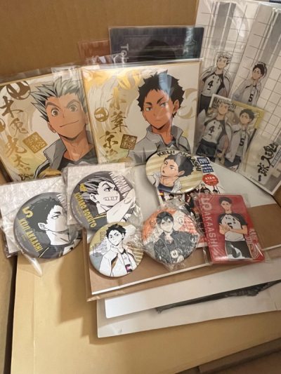 這次主要在mercari上購物，也有小部分購自lashinbang

APP界面：簡單易用，搜尋功能齊全，可以篩選排序找最新上架的貨品和特定店舖的出品。

包裝：沒有加購包裝，保留了日本賣家的原包裝和信封，上面舖一張大氣泡紙，紙箱很堅固，送到後貨品無損。如果有易碎品...