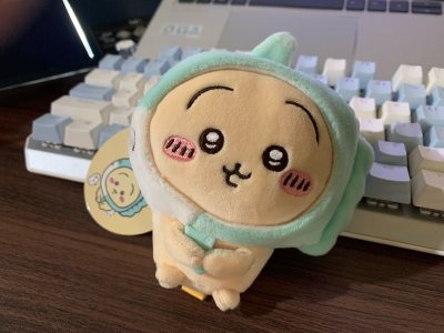 第二次使用Doorzo，等賣家的貨都到集運倉後，選擇EMS空運來台，東西從集運倉出發後大概5天就收到貨了，速度比前一次快。包裝一樣都很好，沒有缺漏件。