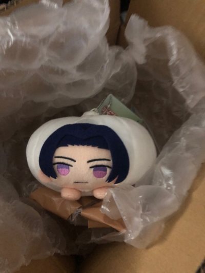 This is my first time using Doorzo and I got Jinshi… He himself was very cheap, but the shipping was very expensive (to be expected)....