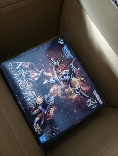 終於買到想要既數碼暴龍模型