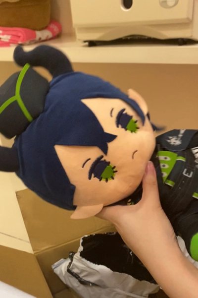 I AM SHAKING FROM HAPINESS AFTER TRYING TO FIND THIS PLUSHIE EVERYWHERE BUT COULDN’T, I AM SO HAPPY I STUMBLE ON DOORZO WHERE THERE I...