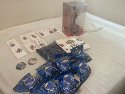 This is my third time ordering from Doorzo and they do not disappoint. For this haul I got TONS and I mean TONS of Oshi no Ko Kuji an...
