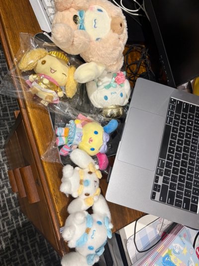 cinnamoroll and usahana and others 
thanks to Doorzo team for shipping! 