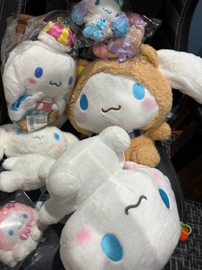 cinnamoroll haul 
thanks to Doorzo team for packing well 
happy customer here 