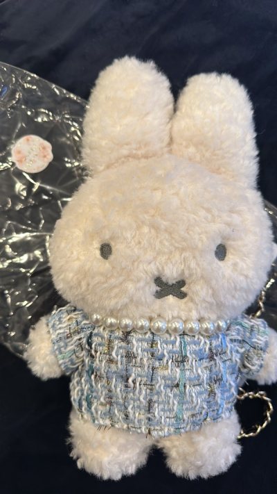 I got miffy bags to ship to USA, first time using the app and love the bags from the excellent sellers! 