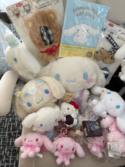 Sanrio purchases and thanks to Doorzo team for packing well 
items have been received in good condition and no damage 