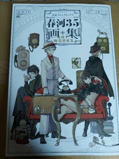 The artbook i got is so pretty!  Art style is so scrumptious i love it.
Thank you Doorzo! I will purchase more from you in the future...