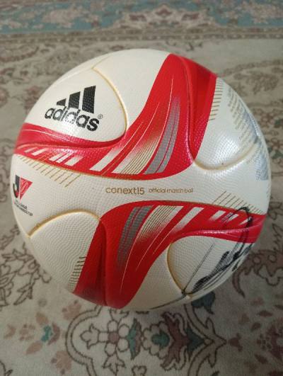 i just bought this ball about 1 week ago and i was satisfied about items and this app illegal and i recommend it! Thank you Doorzo! 