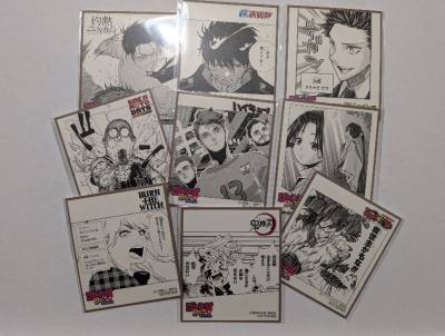 I ordered a lot of mini shikishi, coasters and trinkets. Very satisfied! Thank you Doorzo! I will purchase more from you in the futur...
