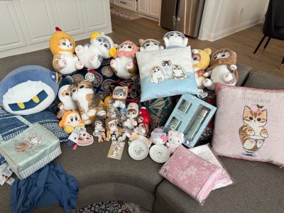  This is my first time buying an item on auction, and it was a big lot of Mofusand plushes! Everything came very well packaged in a b...