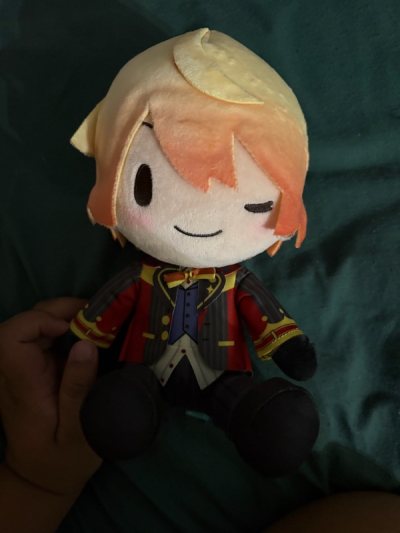 Such a cute plush! I ordered and made sure to choose the most efficient and afforadable shipping option, and he came by QUICK! I’m so...