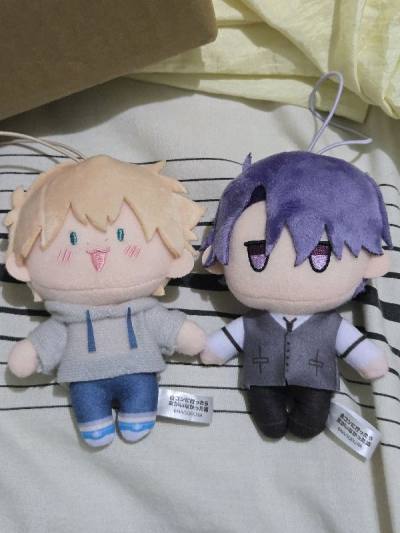They came with the tags and in good condition!!  am so so happy!  There is no merch of the manga/anime here so it is my first time us...