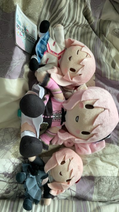 THANK YOU DOORZO FOR SELLING MIZUKI STUFF SHES SO ADORABLE 