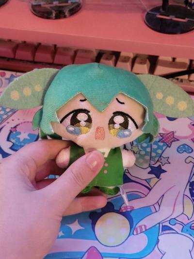 Theyre both super cute and in perfect condition~♡ They fit very well in my collection!!