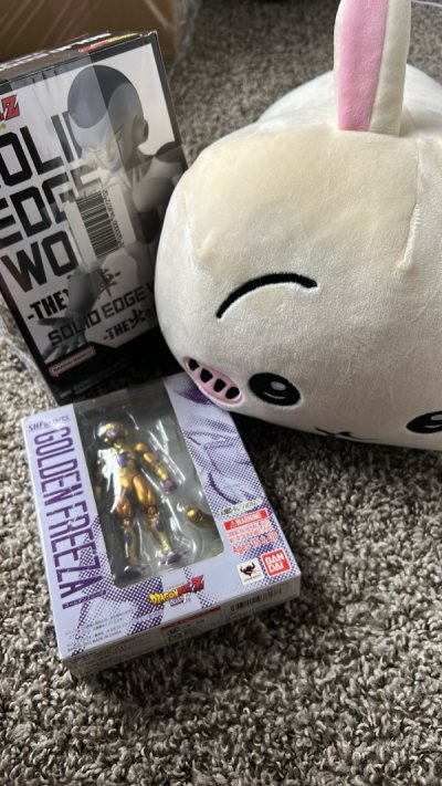 been waiting on this package especially since i finally found the figure i wanted for a cheap price, thank you doorzo for getting it ...