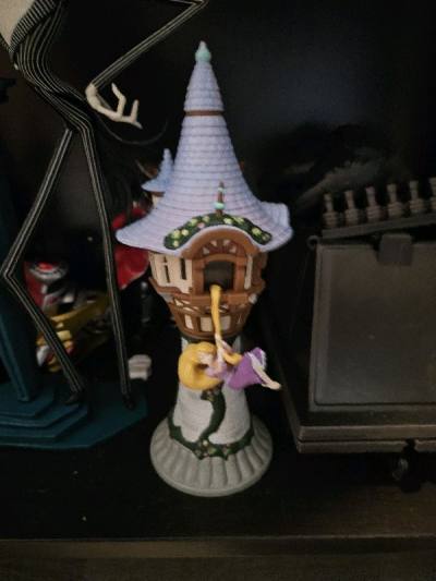 The preorder item finally arrived. I am so excited. Also, the Disney Rapunzel Tower is such a great gift for my wife.