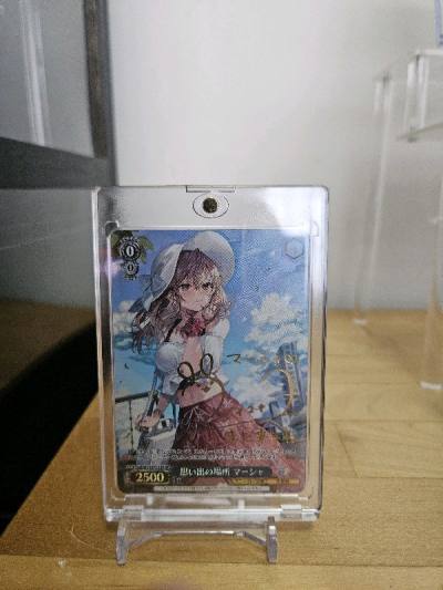Package has arrived and another successful purchase, thanks to doorzo!
