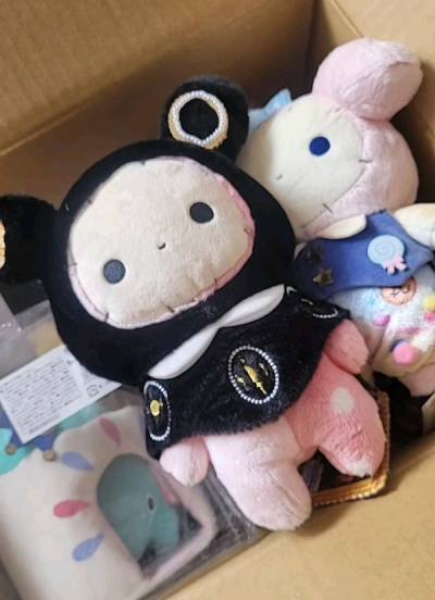 packaged well everything ad expected, so cute!! #sentimentalcircus Thank you Doorzo! 