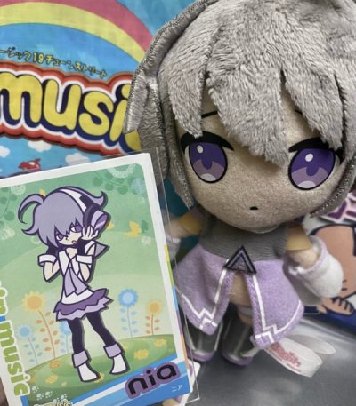i got a bunch of pop&amp;#39;n music items in this order!! im super happy with the nia plush and the tune street picnic blanket, as w...