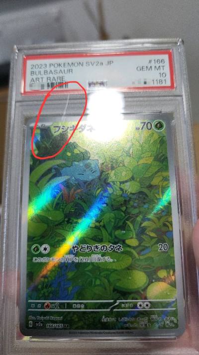 Another successful Pokémon haul from Doorzo! 

Packaging was great, with the outer sealed in shrink-wrap and internals filled with bu...