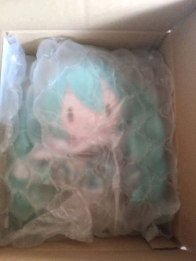 10th anniversary miku plush strap thats almost new in condition. badge and the plush has no damages whatsoever