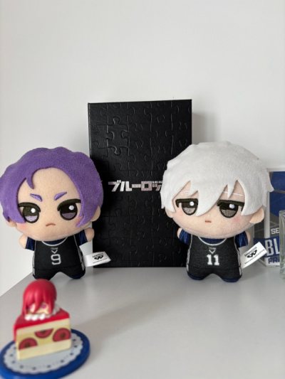 delivery was extremely fast, I had ordered a chigiri watch and blue lock pajamas. All the questions that I had were answered by their...