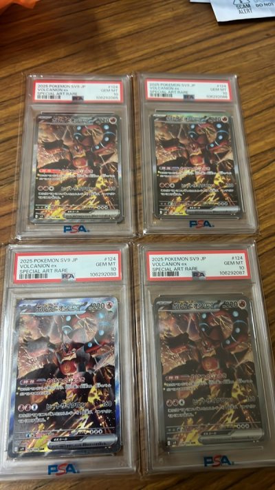 Really happy with the service! All my items arrived safely and in excellent condition. Communication was clear and fast. Will definit...