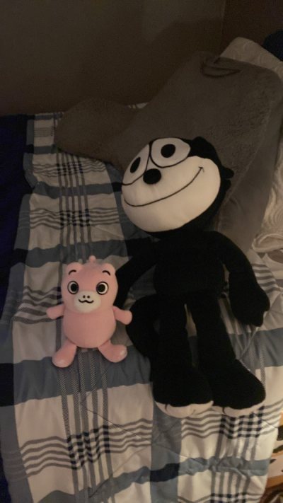 I love this two one of the best purchases I’ve done doorzo is awesome 