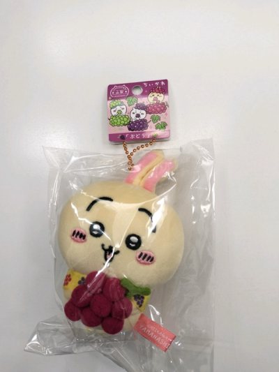I finally scored a rare, limited-edition Chiikawa item for my fourteenth purchase at Doorzo, and I’m thrilled! This piece has been on...