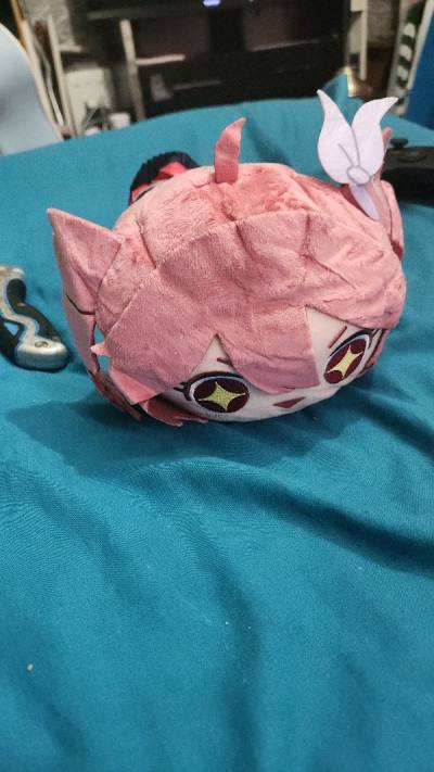 it s packing was kinda bad it came bent so yeah thats nice and overall its not a very good plush