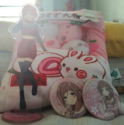 My trading cards, acrylic stand, and badges were packaged meticulously and with care by the Doorzo staff, and arrived safely at my do...