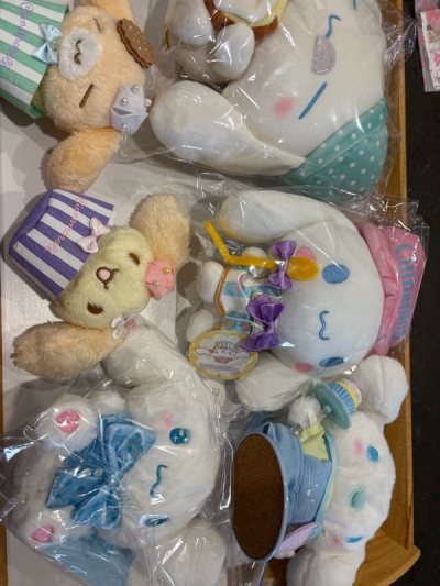 Sanrio haul everything has been packed well and I have received in good condition ~ thank you to the Doorzo team for packing well. 