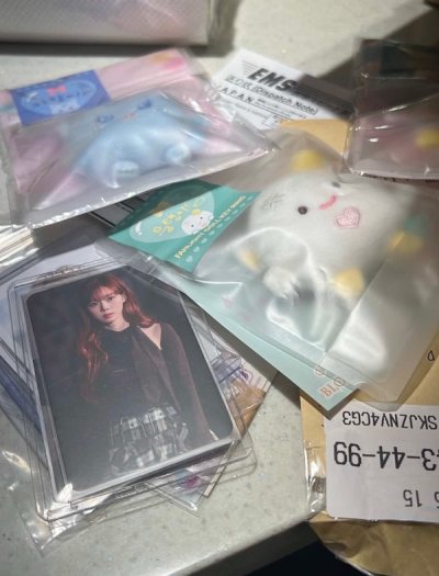 東西有點難購買 但寄送速度一樣挺快的 終於收到想收很久的娃娃 特別開心  因為台灣要買都要綁定其他東西才可以買 