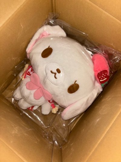 I love everything !!! it came fast and well packed. thank uuu doorzo! 