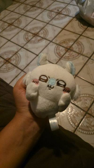 He arrived safe and sound, he is a little dirty after a day at sixflags though