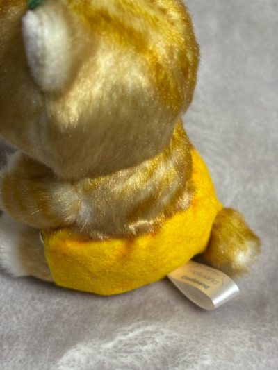 look at this cute little guy, so happy to have these cute munchkins in my house. made my day quite better when i saw them haha. yello...