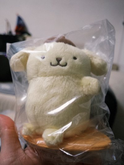 已經回購第二次！每一次的購買體驗都是滿分，從日拍網站上可以找到好多在台灣買不到的商品，或是更便宜的價錢能買到，實在是太讚了！像這次的衝浪布丁狗?真的是可愛到不行啊啊啊啊啊啊啊啊(  ᐢᢦᐢ )(⸝⸝•ᴗ•⸝⸝)♡ (✿˘˘✿)