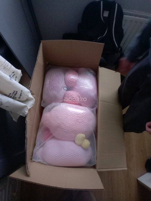 although this did take quite a long time to arrive, it was mostly due to the size of the damn box they arrived in  they were packed ....