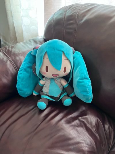 I’m very happy to welcome this dream miku plush I been wanting for so long and now I finally have her all thanks to doorzo! very easy...