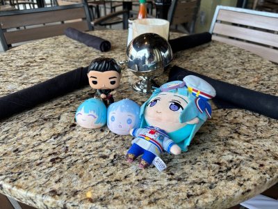 so cute.ᐟ.ᐟ came really fast and easy the seller was fast to ship it out and it came in perfect condition:) 