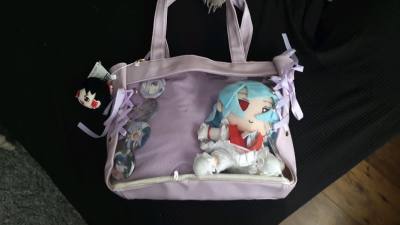 the items didnt take long to arrive, and AHHH ITS SO CUTEE! the bag is amazing quality, the reimu yukkuri plush is so cute and the pr...