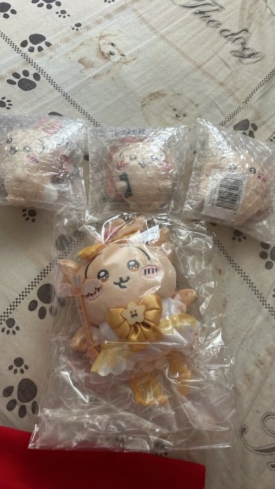 thank you so much doorzo i will definitely keep buying more chiikawa merch here and the costumer service was really good :) everythin...