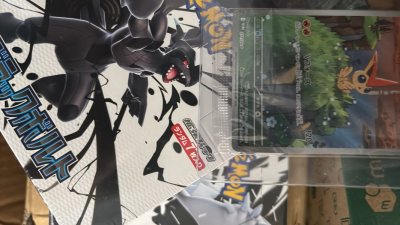 Buying trading cards from Japan is a smooth experience—cards often arrive quickly and in excellent condition. Packaging is typically ...