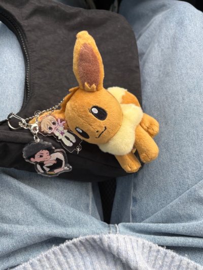 Such an adorable plush keyring of Eevee, really happy with this order! 