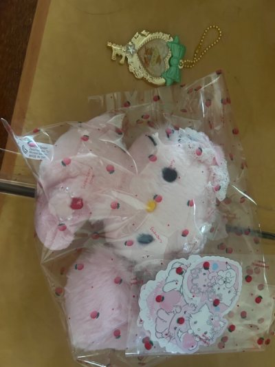 第一次在Doorzo購買東西，非常好的體驗。可以用Alipayhk付款，好方便啊～揀咗最便宜的船運，大概20日左右到，比想像中快，十分推薦～