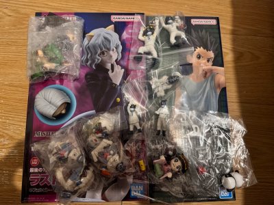 I saw Doorzo on social media Tiktok and Reddit post and it was a blessing. I immediately found a ichiban kuji hunter hunter with a la...
