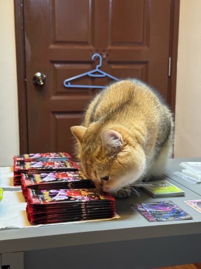 Bought 60 Packs and got 0 ARs, 0 SRs and SARs. Most probably filtered and sold the remaining by seller. Would not reccomend. 