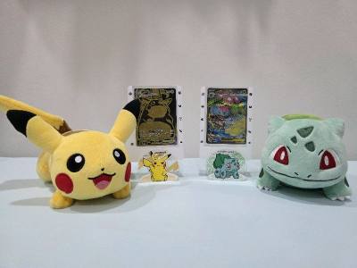 great prices and protection for both slabs and cards.

my son immediately display the cards with his favourite softtoys
appreciate th...