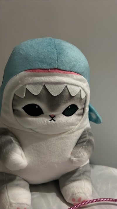 big nyan